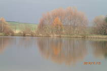 foto/forum/2014/th-img110667.jpg