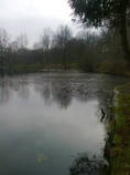 foto/forum/2014/th-img110785.jpg