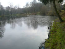 foto/forum/2014/th-img110786.jpg