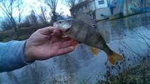 foto/forum/2014/th-img111020.jpg