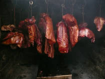 foto/forum/2014/th-img111027.jpg