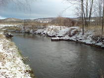 foto/forum/2014/th-img111195.jpg