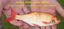 foto/forum/2014/th-img111210.jpg