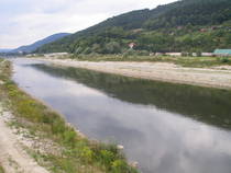 foto/forum/2014/th-img111326.jpg