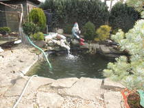foto/forum/2015/th-img112281.jpg