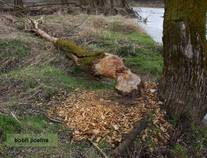 foto/forum/2015/th-img113101.jpg