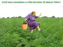 foto/forum/2015/th-img113163.jpg