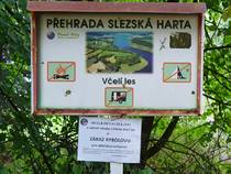foto/forum/2015/th-img115127.jpg