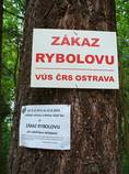 foto/forum/2015/th-img115128.jpg