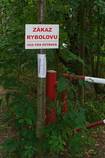 foto/forum/2015/th-img115129.jpg