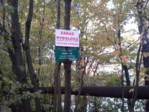 foto/forum/2015/th-img116121.jpg