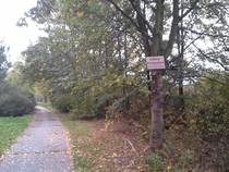 foto/forum/2015/th-img116123.jpg