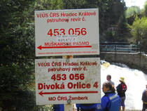 foto/forum/2015/th-img116329.jpg