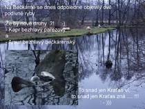 foto/forum/2015/th-img117191.jpg