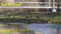 foto/forum/2015/th-img117291.jpg