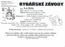 foto/forum/2016/th-img118690.jpg