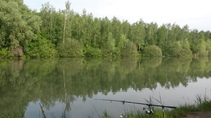 foto/forum/2016/th-img119653.jpg