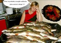 foto/forum/2016/th-img119974.jpg