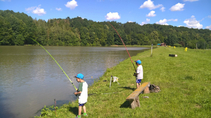 foto/forum/2016/th-img120038.jpg