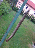 foto/forum/2016/th-img120160.jpg