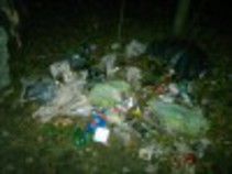 foto/forum/2016/th-img120610.jpg