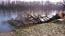 foto/forum/2016/th-img121361.jpg
