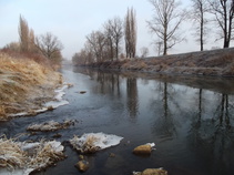 foto/forum/2016/th-img122298.jpg
