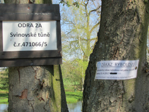 foto/forum/2017/th-img123256.jpg
