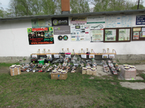 foto/forum/2017/th-img123346.jpg