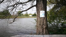 foto/forum/2017/th-img123602.jpg