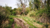 foto/forum/2017/th-img123603.jpg