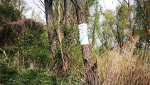 foto/forum/2017/th-img123604.jpg