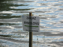 foto/forum/2017/th-img124125.jpg