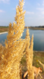 foto/forum/2017/th-img124275.jpg
