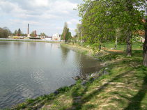 foto/forum/2018/th-img128507.jpg