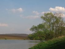 foto/fotoalba/00002/305/x-chytej.cz-00002-00001913.jpg