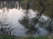 foto/fotoalba/00002/305/x-chytej.cz-00002-00001914.jpg