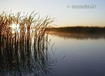 foto/fotoalba/00002/305/x-chytej.cz-00002-00014514.jpg