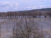 foto/fotoalba/00004/317/x-chytej.cz-00004-00001959.jpg