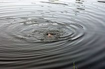 foto/fotoalba/00074/165/x-chytej.cz-00074-00001138.jpg