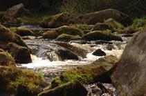 foto/fotoalba/00074/1793/chytej.cz-00074-00014067.jpg