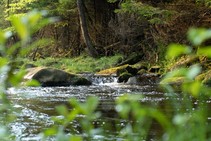 foto/fotoalba/00074/1793/x-chytej.cz-00074-00014404.jpg
