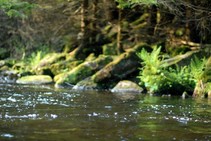 foto/fotoalba/00074/1793/x-chytej.cz-00074-00014405.jpg
