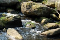 foto/fotoalba/00074/1793/x-chytej.cz-00074-00014416.jpg