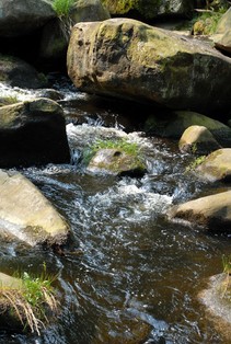 foto/fotoalba/00074/1793/x-chytej.cz-00074-00014417.jpg