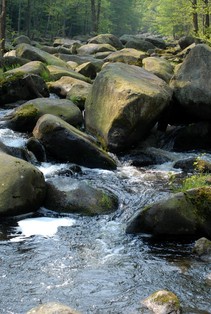 foto/fotoalba/00074/1793/x-chytej.cz-00074-00014418.jpg