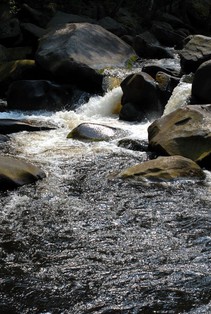 foto/fotoalba/00074/1793/x-chytej.cz-00074-00014420.jpg