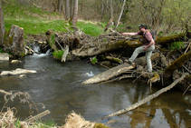 foto/fotoalba/00074/1793/x-chytej.cz-00074-52584.jpg
