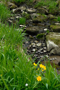 foto/fotoalba/00074/1793/x-chytej.cz-00074-52587.jpg