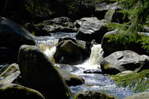 foto/fotoalba/00074/1793/x-chytej.cz-00074-52990.jpg